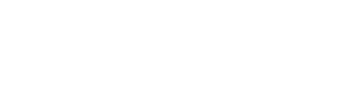 Logo Casio blanco